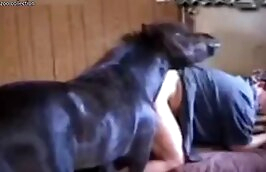 At çükünü berbat